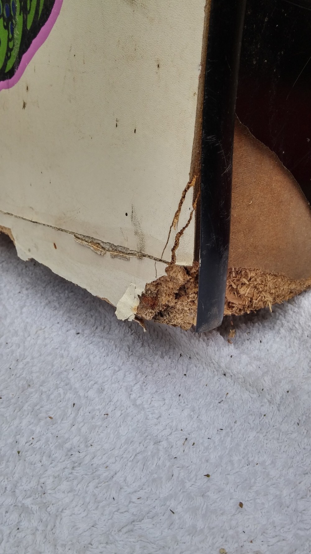 20160305_142525_hdr_zpsboii6nx8