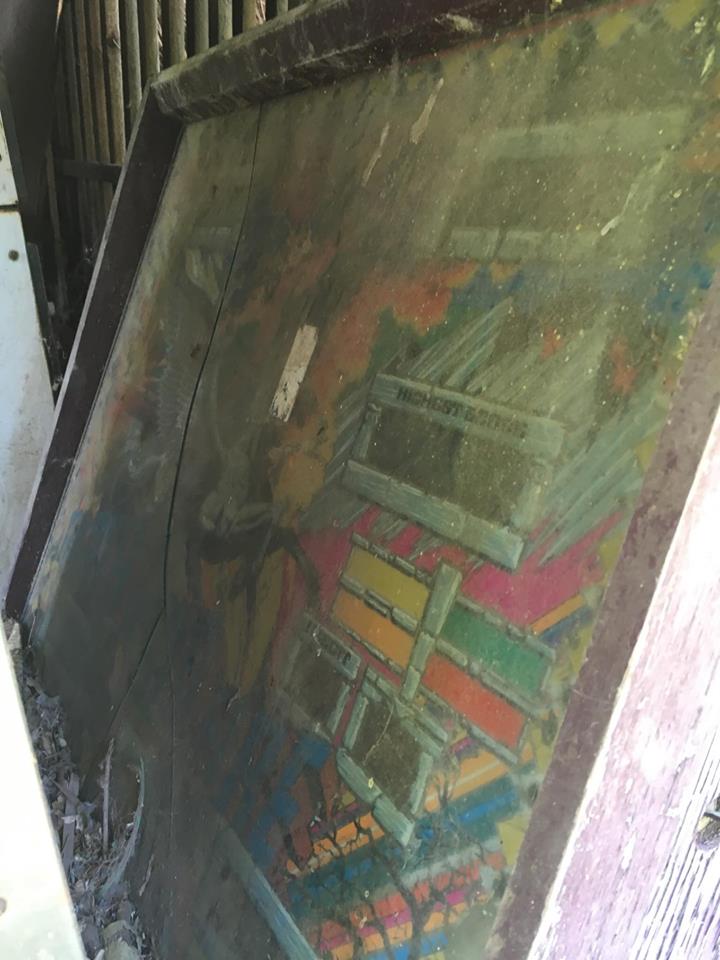 19477795_1378558085526576_1553924689_n