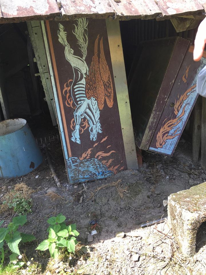 19511881_1378558095526575_343989604_n