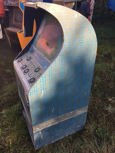 36391493463_87f663552a_z