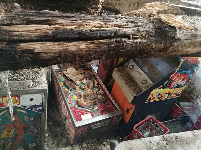 36774890610_737477417e_z