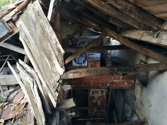 37030461981_70c912b26b_z