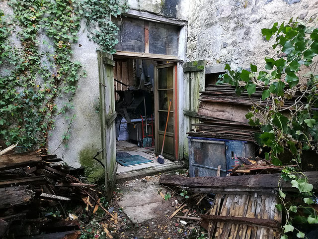 37172636675_cc3ef32d8a_z